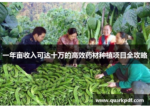 一年亩收入可达十万的高效药材种植项目全攻略