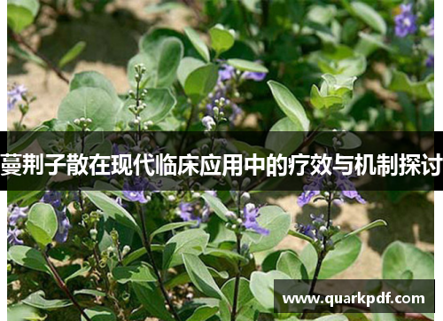 蔓荆子散在现代临床应用中的疗效与机制探讨
