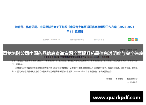 尊龙凯时公司中国药品信息查询官网全面提升药品信息透明度与安全保障