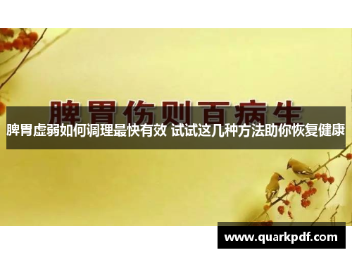 脾胃虚弱如何调理最快有效 试试这几种方法助你恢复健康